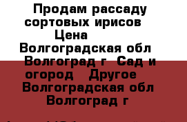 Продам рассаду сортовых ирисов  › Цена ­ 300 - Волгоградская обл., Волгоград г. Сад и огород » Другое   . Волгоградская обл.,Волгоград г.